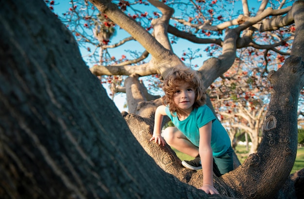 Ein Junge versucht, auf den Baum zu klettern, ein Kind klettert im Abenteuerpark