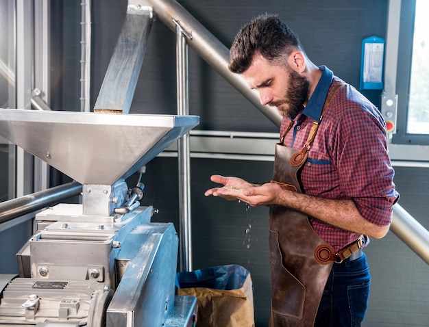 Ein junger Brauer in einer Lederschürze kontrolliert das Mahlen von Malzsamen in einer Mühle einer modernen Brauerei