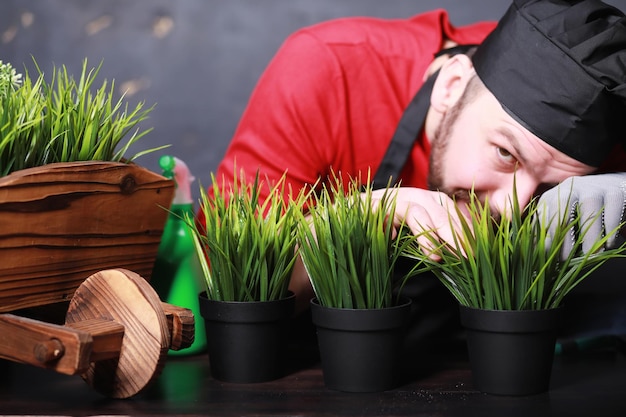 Ein junger Gärtner kümmert sich um Setzlinge und schneidet Blumen. Gärtner mit einem Blumentablett. Mann, der sich im Frühjahr um das Pflanzen von Setzlingen kümmert.