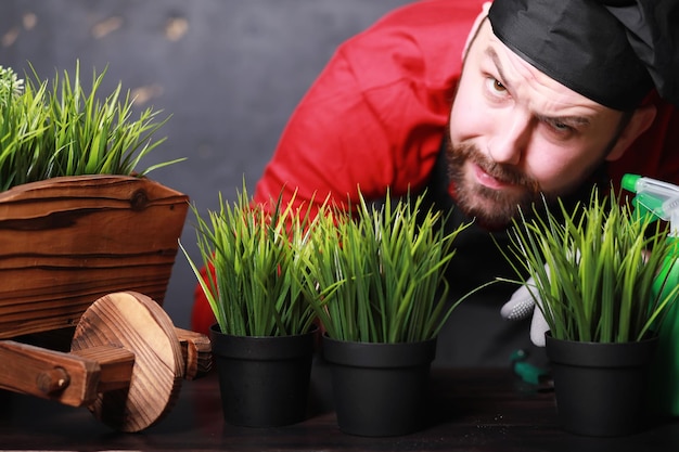 Ein junger Gärtner kümmert sich um Setzlinge und schneidet Blumen