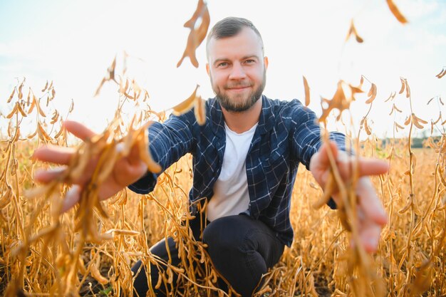 Ein junger, hübscher Bauer oder Agronom untersucht die Reifung von Sojabohnen auf dem Feld vor der Ernte