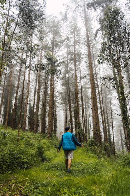 Ein junger Mann, der in der blauen Jacke im nebligen Wald spazieren geht