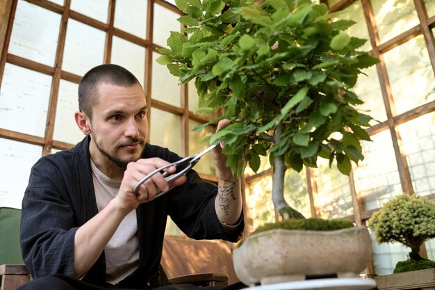 Ein junger Mann schmückt mit einer Schere die Äste eines neuen Bonsai-Baums in einem Gartenhaus