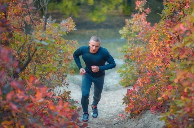 Ein junger muskulöser Jogger in einem schwarzen Leggins und in einem Hemd läuft im bunten roten herbstlichen Waldhügel.