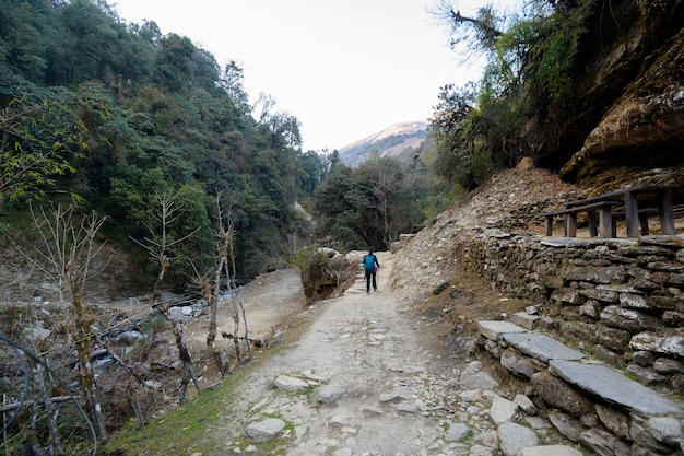 Ein junger Reisender, der auf dem Waldweg Nepal wandert