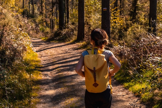 Ein junger Wanderer in einem herbstlichen Sonnenuntergang auf einer Route durch einen schönen Wald, um die Natur kennenzulernen