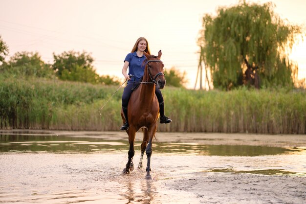 Ein junges Mädchen, das ein Pferd auf einen flachen See am Sonnenuntergang reitet.