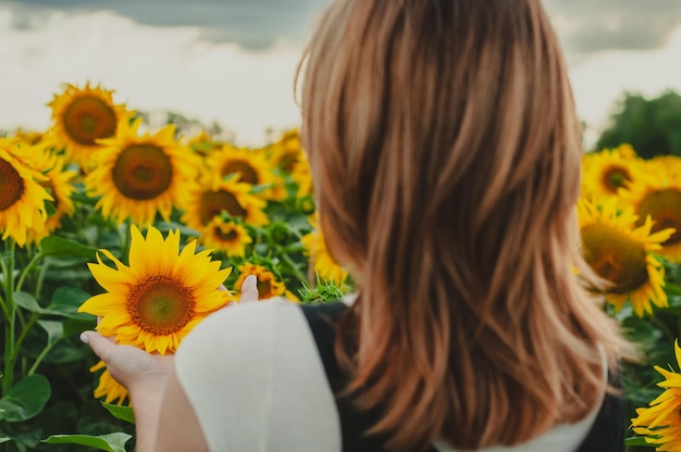 Ein junges Mädchen hält eine Sonnenblume in den Händen und betrachtet sie, bei Sonnenuntergang, Foto von hinten