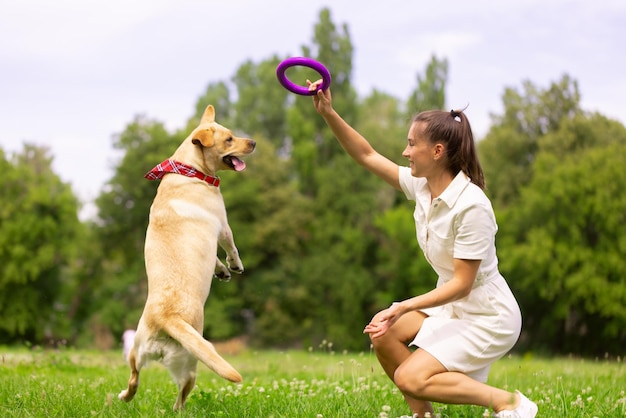 Ein junges Mädchen spielt mit einem Spielzeugring mit einem Labrador-Hund auf dem Rasen