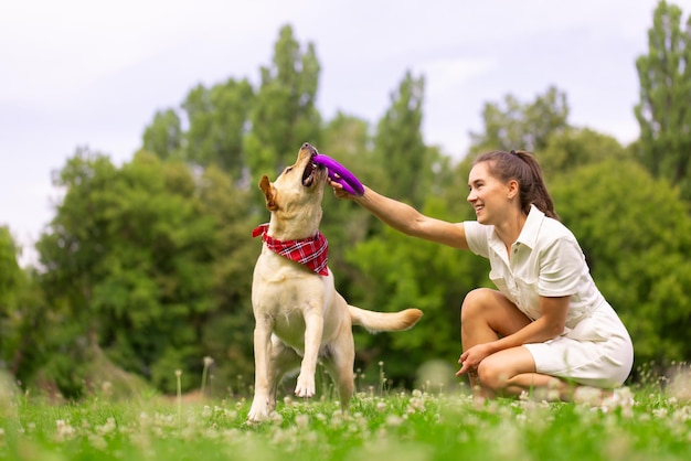 Ein junges Mädchen spielt mit einem Spielzeugring mit einem Labrador-Hund auf dem Rasen