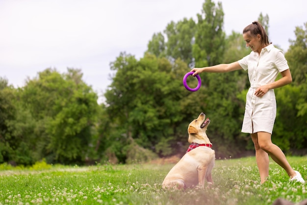 Ein junges Mädchen spielt mit einem Spielzeugring mit einem Labrador-Hund auf dem Rasen