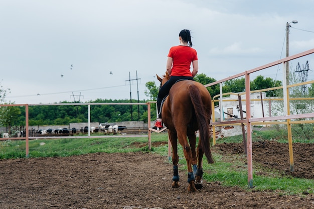 Ein junges und hübsches Mädchen lernt an einem Sommertag auf der Ranch, eine reinrassige Stute zu reiten.