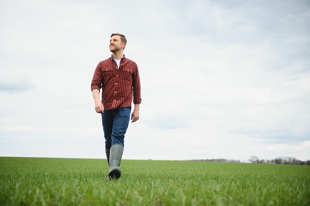 Ein Junglandwirt prüft die Qualität von Weizensprossen auf dem Feld Das Konzept der Landwirtschaft