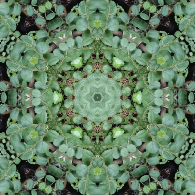 Ein Kaleidoskop aus Blättern besteht aus einem Kaleidoskop.