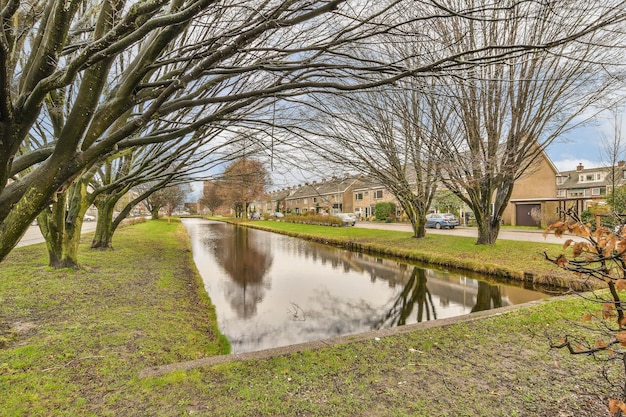 Foto ein kanal in einer nachbarschaft mit bäumen an der seite