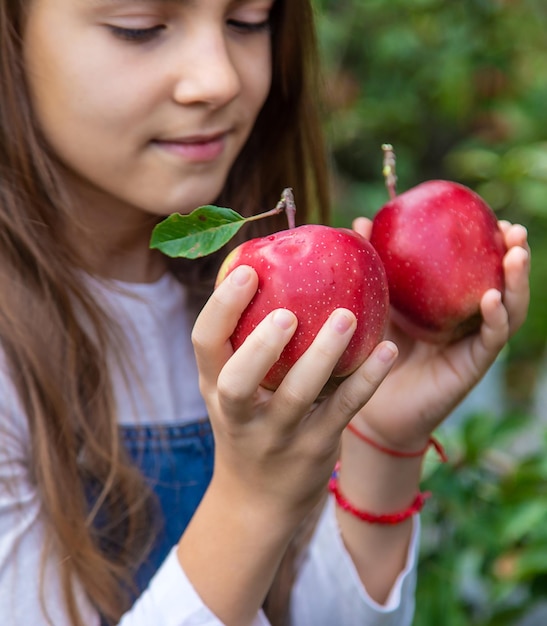 Ein Kind erntet Äpfel im Garten Selektiver Fokus