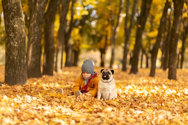 Ein Kind geht mit einem Mops im Herbstpark spazieren Freunde seit der Kindheit