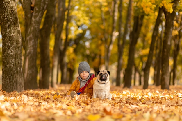 Ein Kind geht mit einem Mops im Herbstpark spazieren. Freunde seit Kindheit