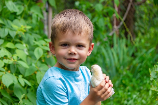 Ein Kind hält ein Huhn in seinen Händen Ein Junge und ein Vogel