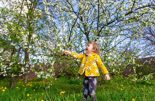 Ein Kind im Garten schnüffelt an einem blühenden Frühlingsbaum. Selektiver Fokus