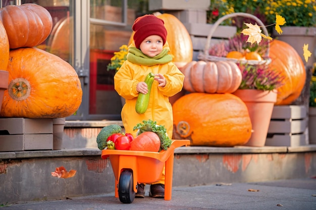 Ein Kind in einem gelben Overall fährt auf der Herbstmesse ein mit Gemüse gefülltes Spielzeugauto zwischen großen Kürbissen