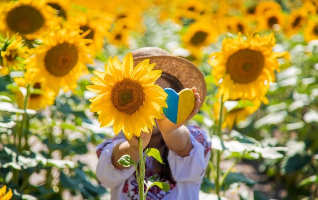 Ein Kind in einem Sonnenblumenfeld in einem bestickten Hemd. Ukraine-Unabhängigkeitstag-Konzept. Selektiver Fokus.