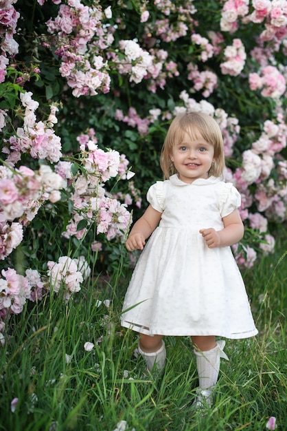 Ein Kind ist ein Mädchen in einem weißen Kleid vor einem Hintergrund von rosa Rosenbüschen