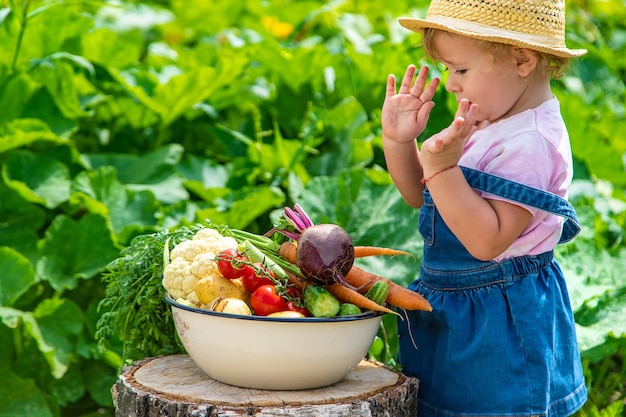 Ein Kind mit einer Gemüseernte im Garten Selektiver Fokus