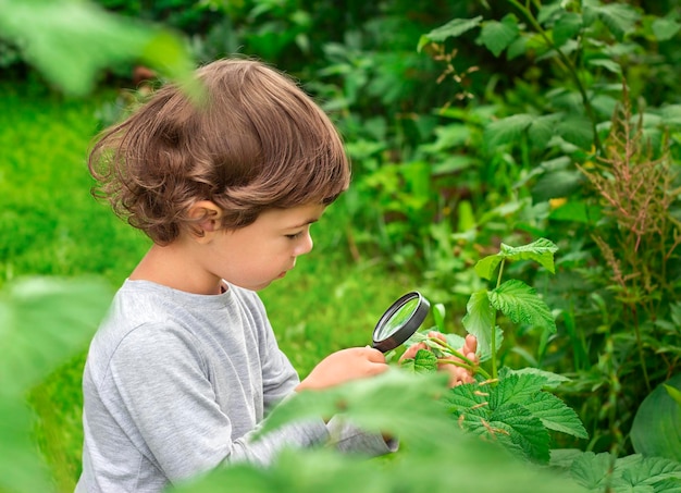 Ein Kind mit einer Lupe untersucht die Pflanzen im Garten in der Nähe