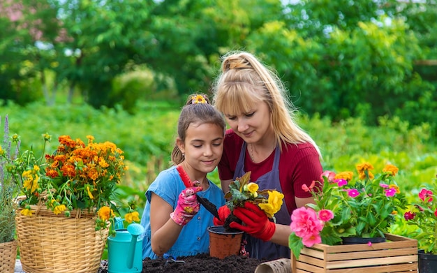 Ein Kind mit ihrer Mutter pflanzt Blumen im Garten Selektiver Fokus