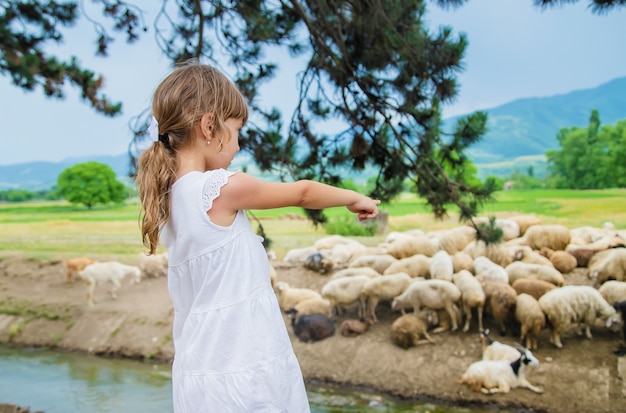Ein Kind schaut eine Schafherde an. Reisen in Georgien.