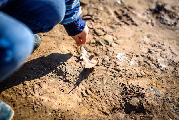 Ein Kind spielt mit Eichenlaub Aktiver Familienzeitvertreib in der Natur