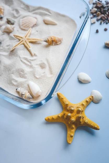 Ein Kind studiert Sand und Muscheln eine Idee für eine Aktivität mit einem Kind