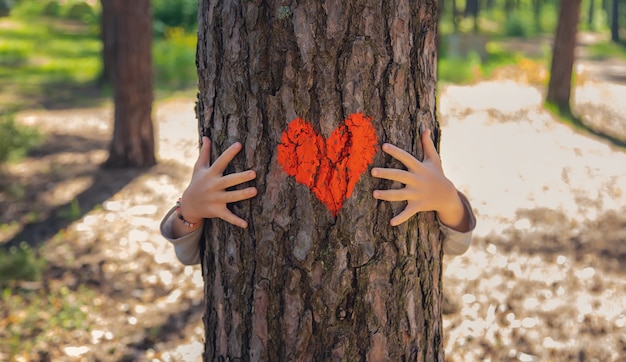 Ein Kind umarmt einen Baum