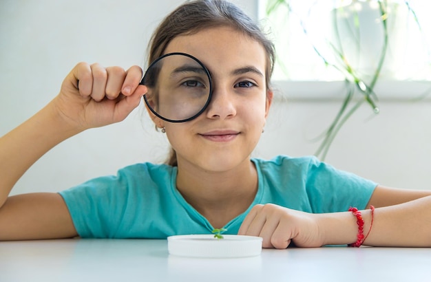 Ein Kind untersucht eine Pflanze unter einem Vergrößerungsglas Selektiver Fokus