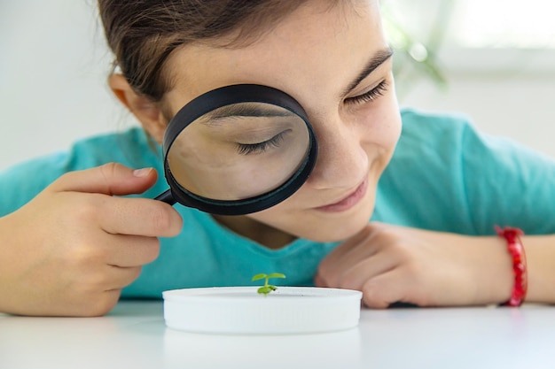 Ein Kind untersucht eine Pflanze unter einem Vergrößerungsglas Selektiver Fokus