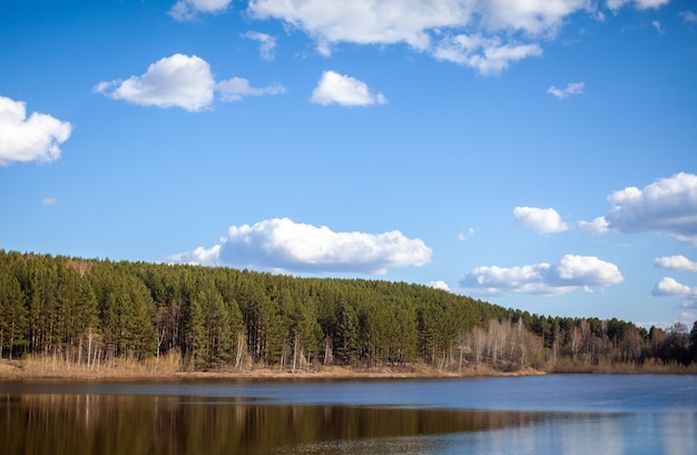 Ein klarer See in einem grünen Wald. Blauer Himmel mit weißen Wolken über einem See im Wald. Naturlandschaft.