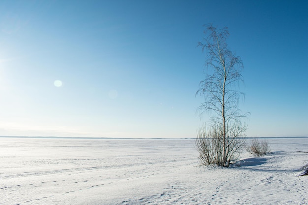 Ein klarer Wintertag an der Wolga