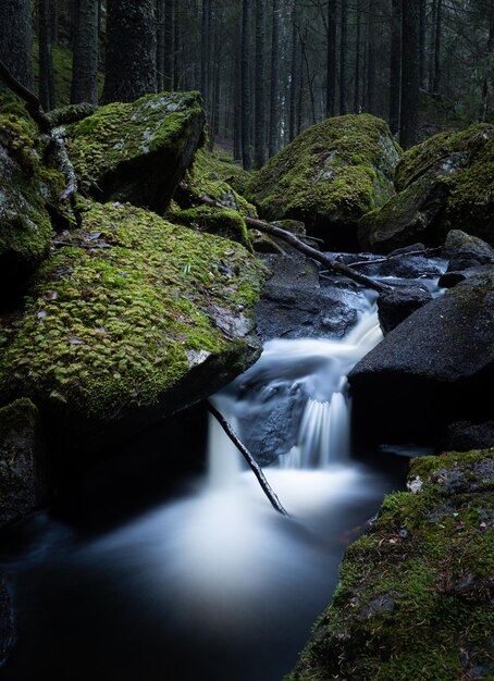 Ein kleiner Bach, der zwischen Felsen in einem natürlichen nordischen Noody-Wald fließt