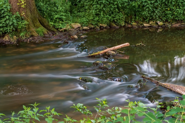 Foto ein kleiner bach im wald