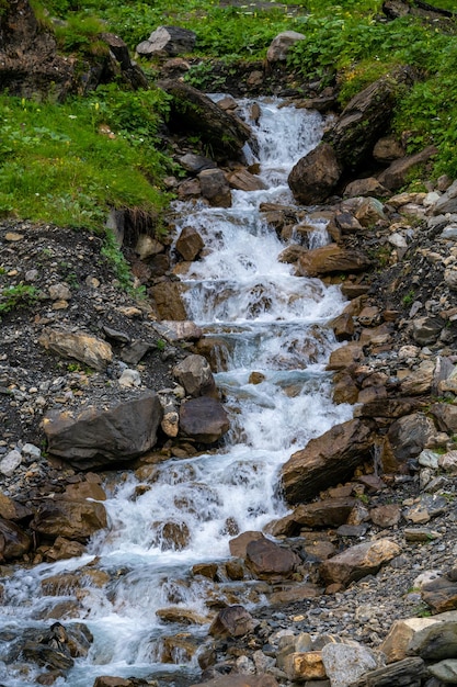 Ein kleiner Bach, umgeben von Gras und Steinen