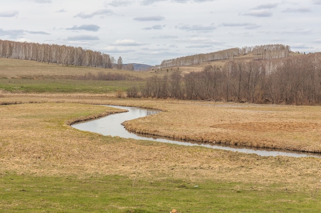 Ein kleiner Fluss, der durch Wiesen und landwirtschaftliche Felder fließt. Frühling. Bewölkter Himmel