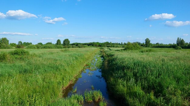 Ein kleiner Fluss, der mit Gras bewachsen ist, inmitten einer grünen Wiese mit grünen Bäumen in der Ferne.