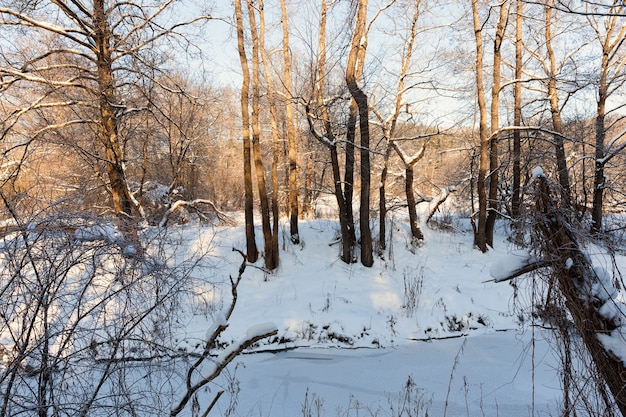 Ein kleiner Fluss, dessen Wasser im Winter gefroren ist, ein gefrorener Fluss bei Winterfrösten, Schnee und Frost in der Natur im Winter in der Nähe eines Flusses oder Sees