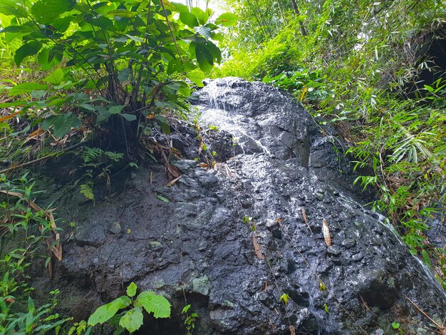 ein kleiner Fluss fließt über einen großen Felsen