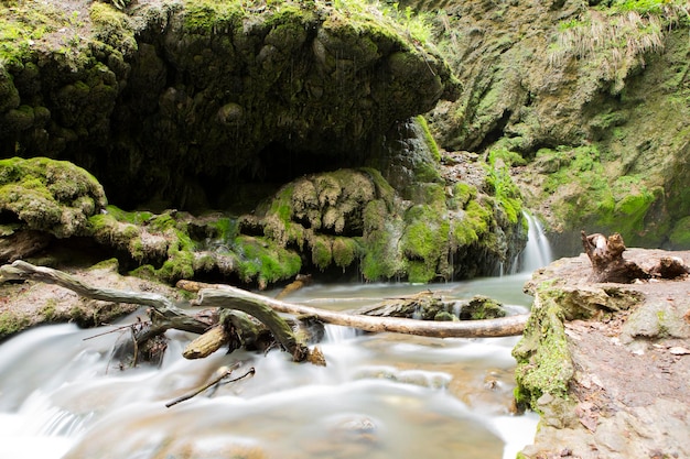 Ein kleiner Fluss tief in den Wäldern