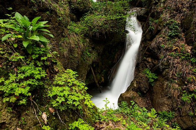 Ein kleiner Fluss tief in den Wäldern