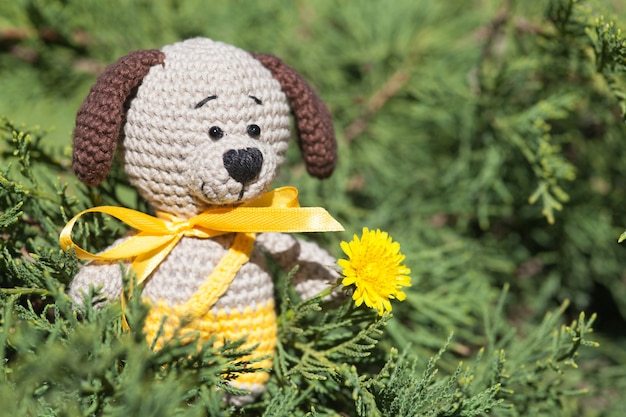 Ein kleiner gestrickter brauner Hund mit einem gelben Band im Sommergarten. Gestricktes Spielzeug, handgemacht, Amigurumi