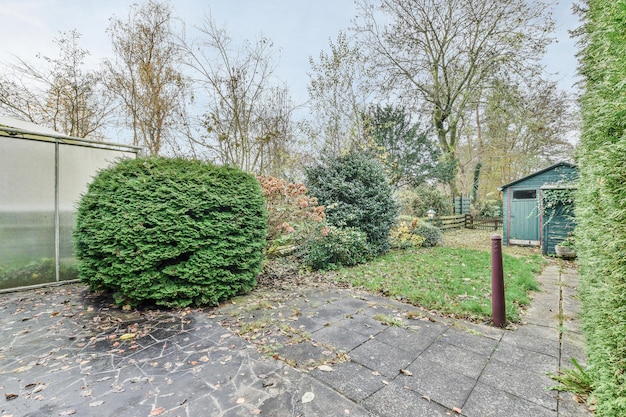 Ein kleiner Hinterhof mit einem grünen Schuppen und einer Hecke