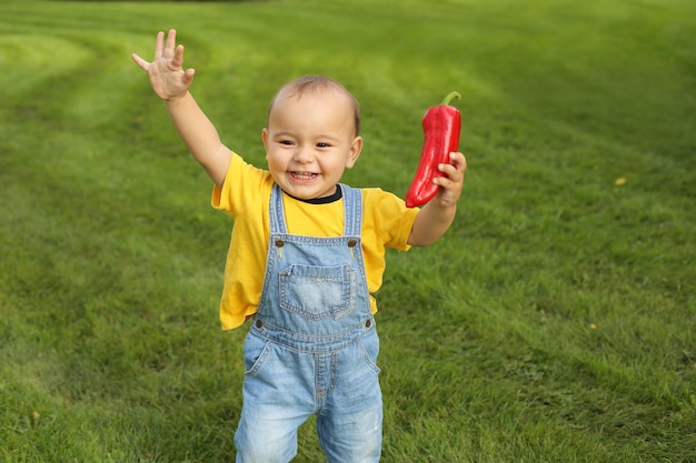 ein kleiner Junge in einem gelben T-Shirt steht auf dem Rasen im Park und hält eine rote Paprika